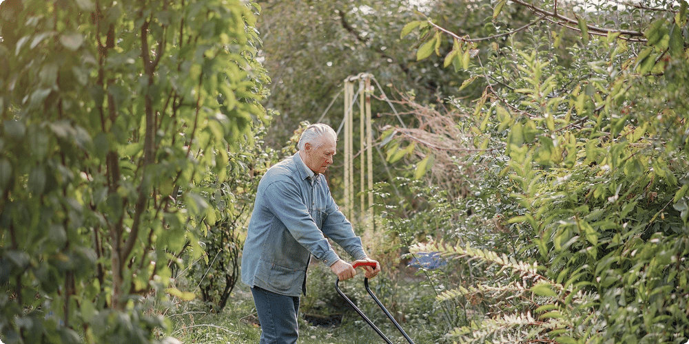 Réviser et remplacer les pièces usées
